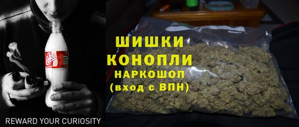 PSILOCYBIN Алзамай