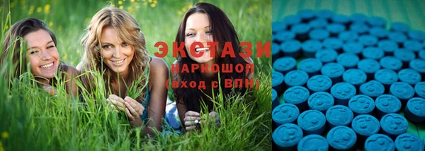 PSILOCYBIN Алзамай