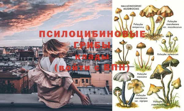 PSILOCYBIN Алзамай