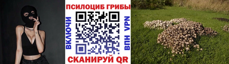 MEGA сайт  Борзя  Галлюциногенные грибы прущие грибы 