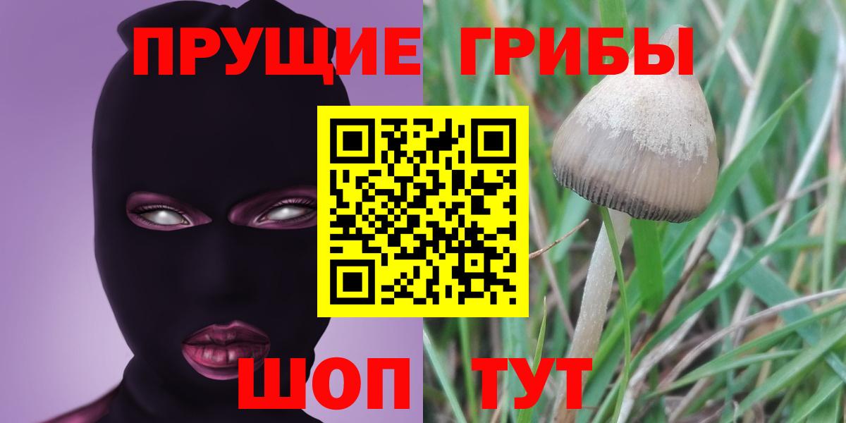 Галлюциногенные грибы мицелий Борзя