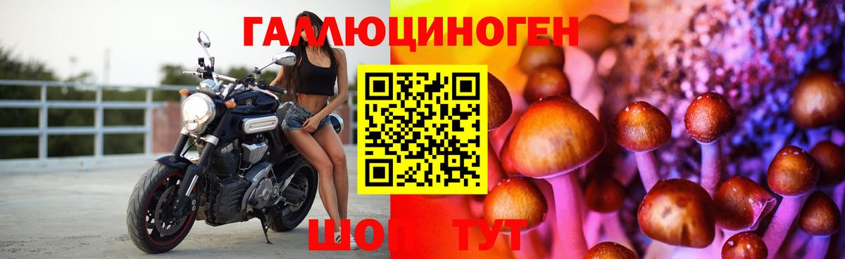 Галлюциногенные грибы Psilocybine cubensis  Вход с VPN  Борзя 
